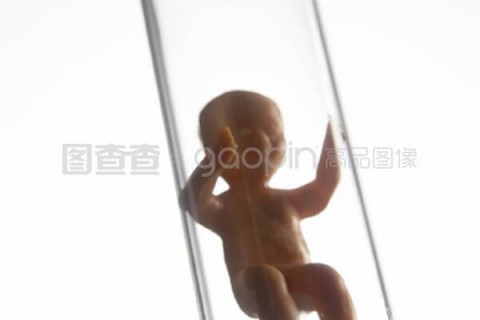 http://beijing.nbgk120.com/post/209.html|北京捐卵费用