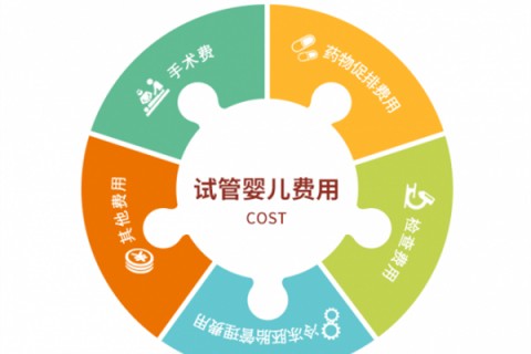 北京捐卵宝宝肚痛，父母该怎么办？